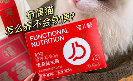 猫咪肠胃健康秘籍:宠儿香益生菌的使用 猫咪肠胃健康秘籍:宠儿香益生菌的使用