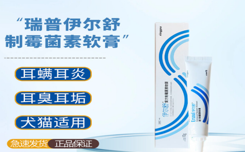伊尔舒