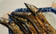 秋刀鱼的功效和作用