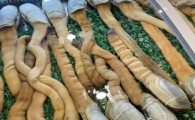 象拔蚌一般多少一斤