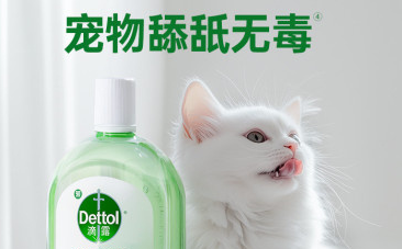 滴露Dettol宠物消毒液建议买吗