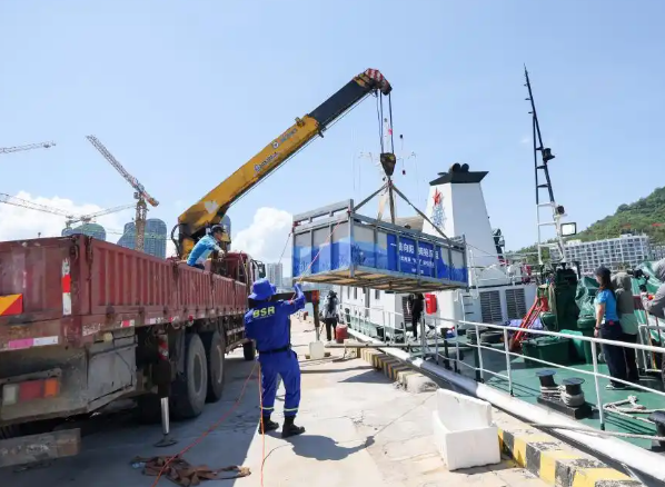 海南三亚:糙齿海豚被成功放归大海 海南三亚:糙齿海豚被成功放归大海