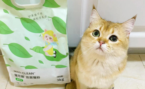 猫可丽猫砂哪款好 猫可丽猫砂哪款好