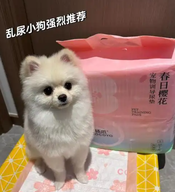 COCOYO‌是国产品牌吗？COCOYO‌宠物尿垫值得买吗？