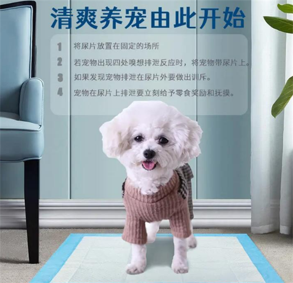 最新宠物尿垫品牌排行榜揭秘！这几款吸水耐用的宠物尿垫值得拥有！