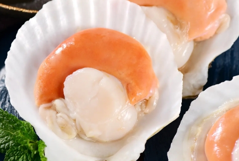 扇贝生蚝可以一起蒸吗