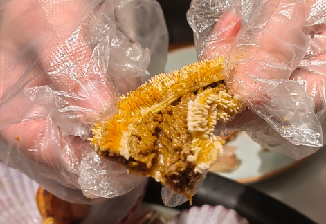 海星的价格是多少