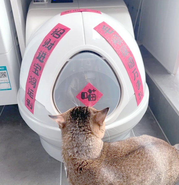 新手猫砂盆挑选技巧:封闭式还是开放式猫砂盆好? 新手猫砂盆挑选技巧:封闭式还是开放式猫砂盆好?