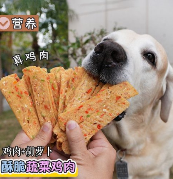 2025狗零食排行榜，这5大高性价比狗零食品牌要码住