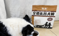 解密哪种品牌的狗粮好？给爱犬最佳营养选择
