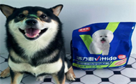 活力泰犬粮，肠胃健康从小开始