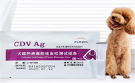PLKWT犬瘟检测试纸怎么用