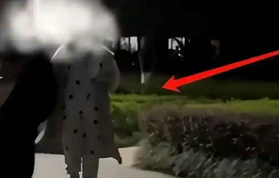 重庆恶犬伤人事件:遛狗不拴绳,逍遥法外3个月 重庆恶犬伤人事件:遛狗不拴绳,逍遥法外3个月