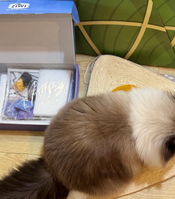 猫粮什么牌子最好?4款顶奢粮让主子变干饭王 猫粮什么牌子最好?4款顶奢粮让主子变干饭王