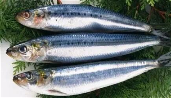 秋刀鱼是高蛋白吗