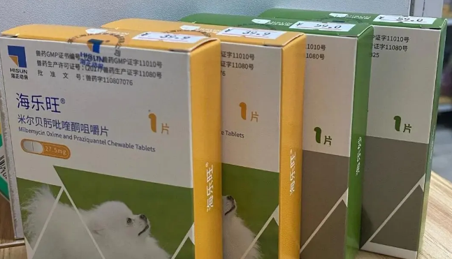 海正动保驱虫药：爱犬健康的守护者