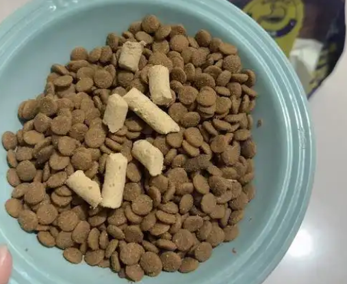狗粮哪里产地的比较好？选对产地=选对健康