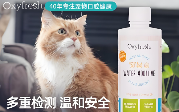 Oxyfresh漱口水怎么用?两种方法轻松呵护口腔健康 Oxyfresh漱口水怎么用?两种方法轻松呵护口腔健康