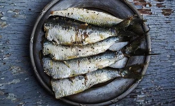 秋刀鱼的嘌呤含量