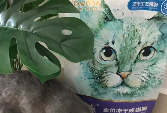 朗诺:猫咪爱吃的高性价比好物推荐 朗诺:猫咪爱吃的高性价比好物推荐