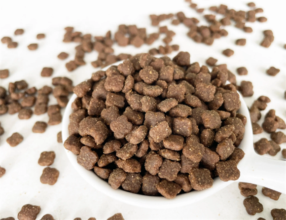 不同品牌40克狗粮是多少粒?感兴趣的铲屎官可以看看! 不同品牌40克狗粮是多少粒?感兴趣的铲屎官可以看看!