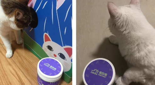 猫咪化毛神器:倍珍保肠胃健,值得回购! 猫咪化毛神器:倍珍保肠胃健,值得回购!