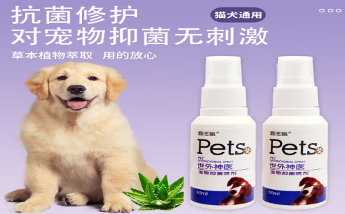 霸王狼