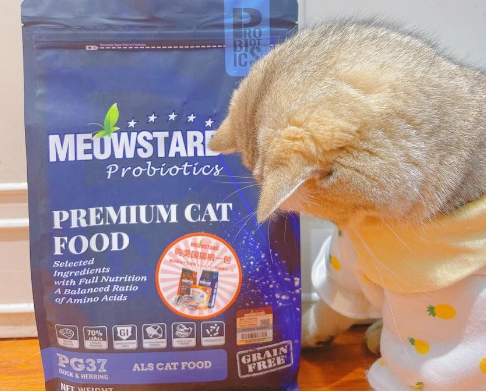 喵达猫粮：让猫咪爱不释手的秘密武器
