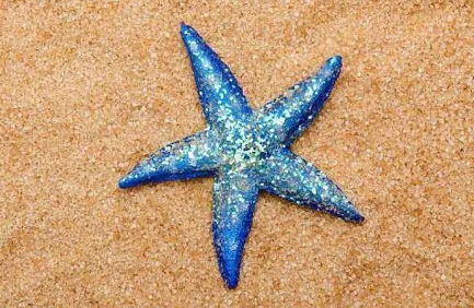 蓝色的海星有毒吗