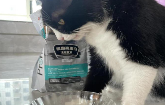 枫趣猫粮实测:便臭拜拜! 枫趣猫粮实测:便臭拜拜!