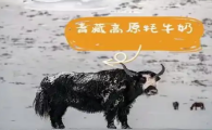 牦牛奶粉有哪些好处