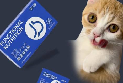 猫咪肠道问题?试试宠儿香康源益生菌 猫咪肠道问题?试试宠儿香康源益生菌