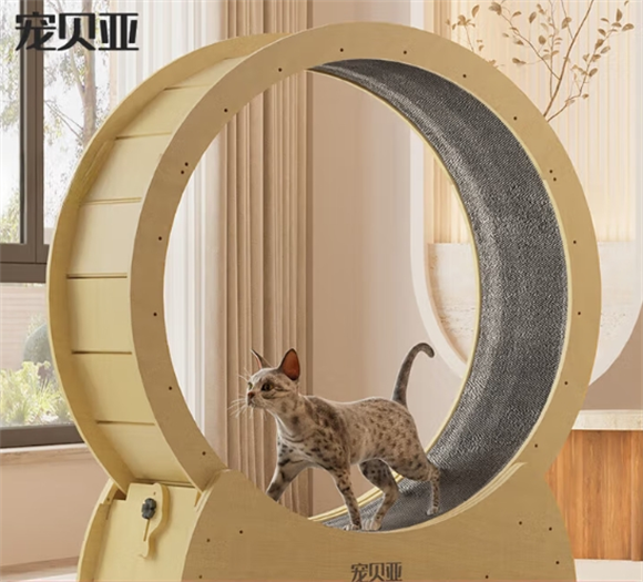 宠贝亚猫咪跑步机有什么作用 宠贝亚猫咪跑步机有什么作用