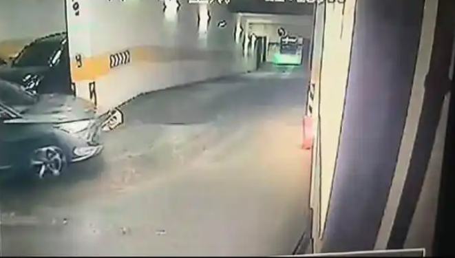 送宠物店洗澡的小狗因店员疏忽跑出被撞死:主人索赔数万,协商未果 送宠物店洗澡的小狗因店员疏忽跑出被撞死:主人索赔数万,协商未果