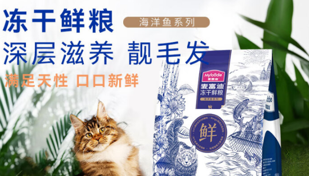 哪种猫粮比较好又不贵?这两款猫粮可放心选择! 哪种猫粮比较好又不贵?这两款猫粮可放心选择!