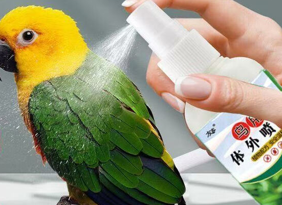 若宸智慧农业鹦鹉除螨喷剂的作用 若宸智慧农业鹦鹉除螨喷剂的作用