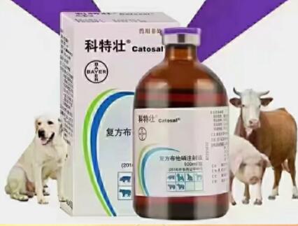 科特壮和普特壮哪个好