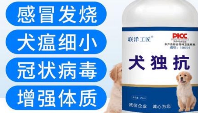 联洋工匠犬独抗治疗什么病