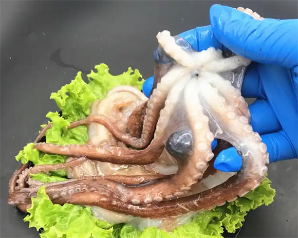 章鱼柔软的秘诀从预处理到水煮 章鱼柔软的秘诀从预处理到水煮