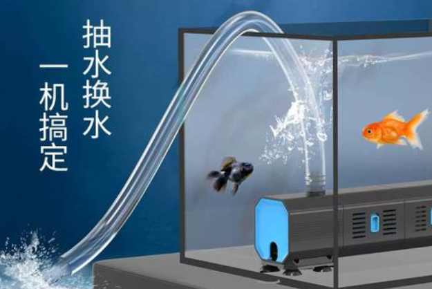 余三哥鱼缸过滤器晚上可以关掉吗