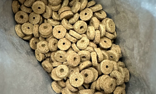 铲屎官必看!硬食力猫粮,给猫咪满分呵护 铲屎官必看!硬食力猫粮,给猫咪满分呵护