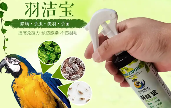 鹦鹉博士羽洁宝好不好？本文替你打消顾虑