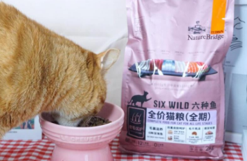 猫咪的每日必备：比瑞吉猫粮