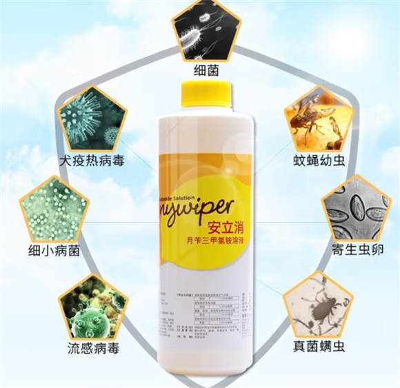 安立消宠物消毒液：宠物健康的坚实护盾