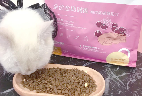 贵芬溶菌酶冻干粮：猫咪肠胃的守护神
