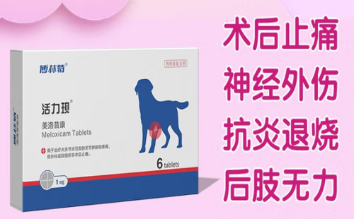 博林特