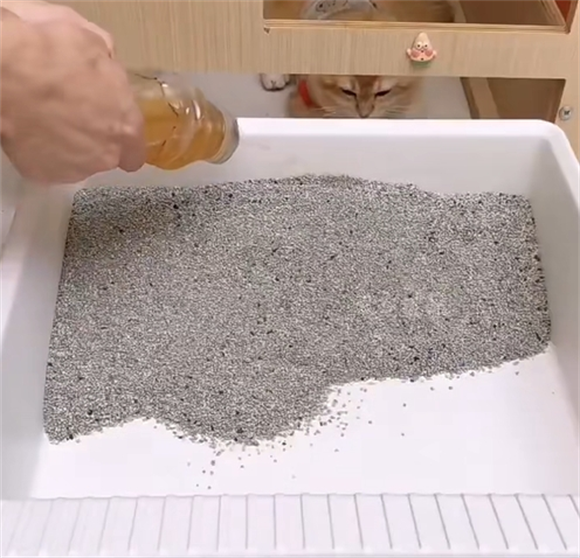怎样挑选猫砂？2025年猫砂买哪个品牌好?