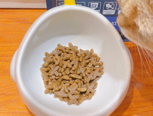 喵达猫粮：让猫咪爱不释手的秘密武器