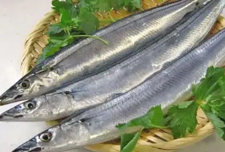 痛风能吃秋刀鱼吗 痛风能吃秋刀鱼吗