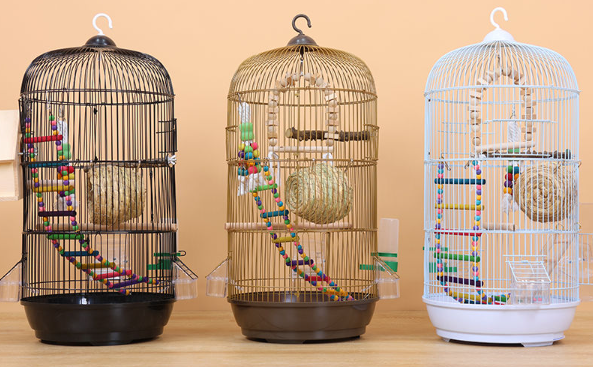 宠儿新家鸟笼为什么受欢迎？主要因为这几点优势
